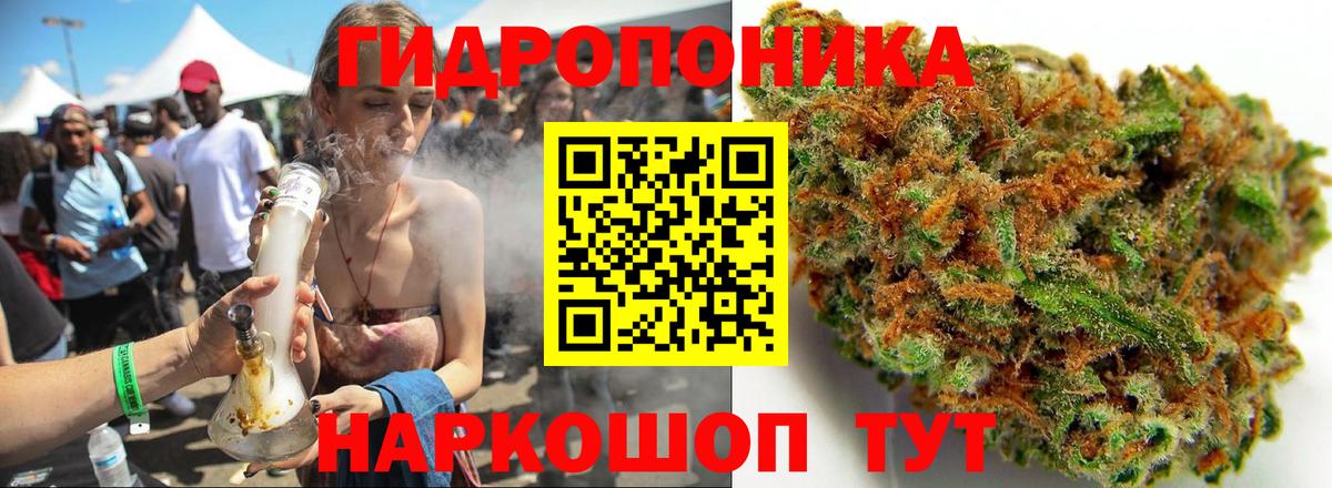Каннабис план Холмск